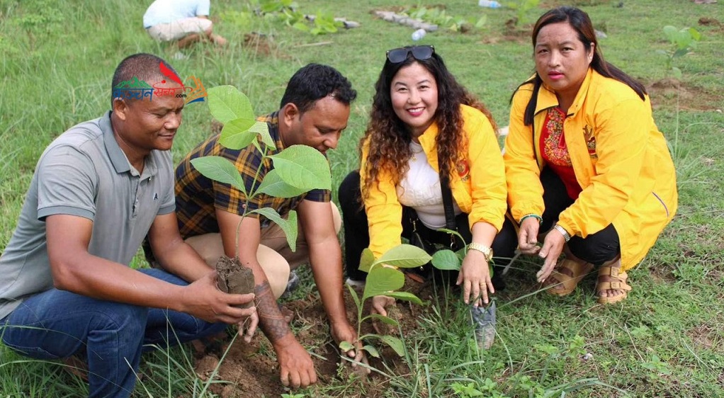 स्वर्गद्वारी रोहिणी घाटमा लायन्सद्वारा ५०० बिरुवा वृक्षरोपण